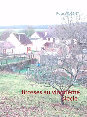 cover image of Brosses au vingtième siècle